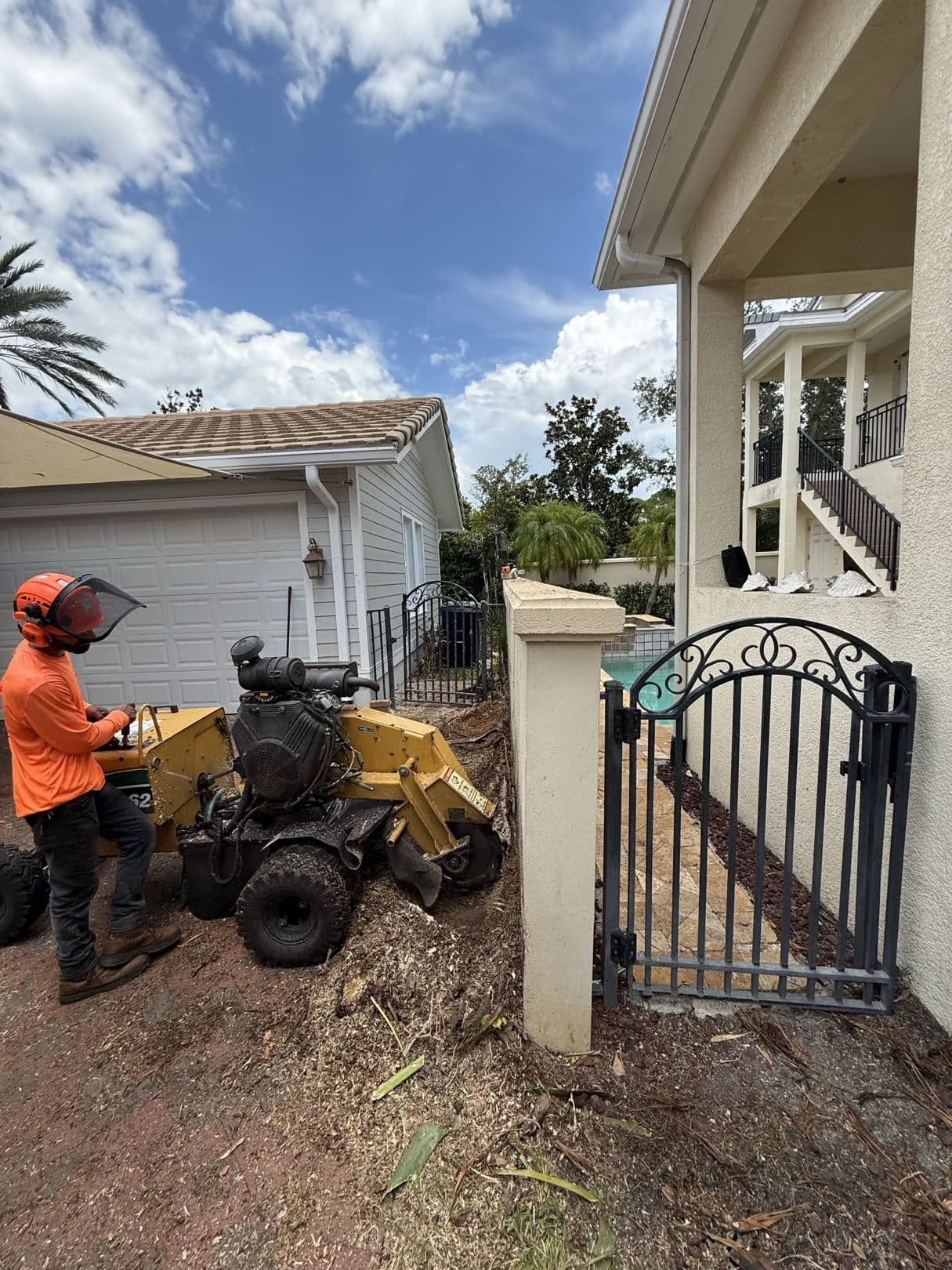 H&M Tree Service job photo 75