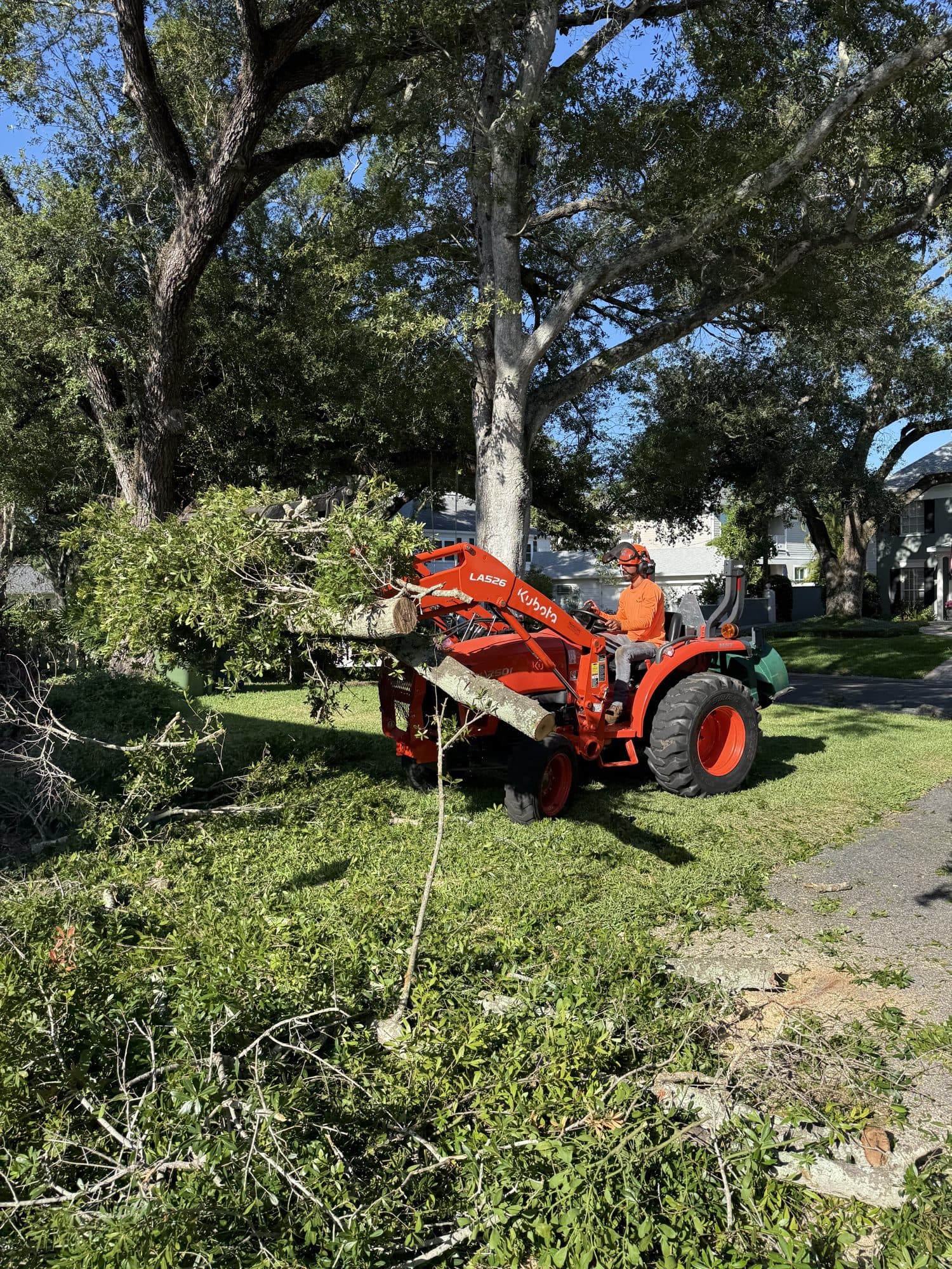 H&M Tree Service job photo 12