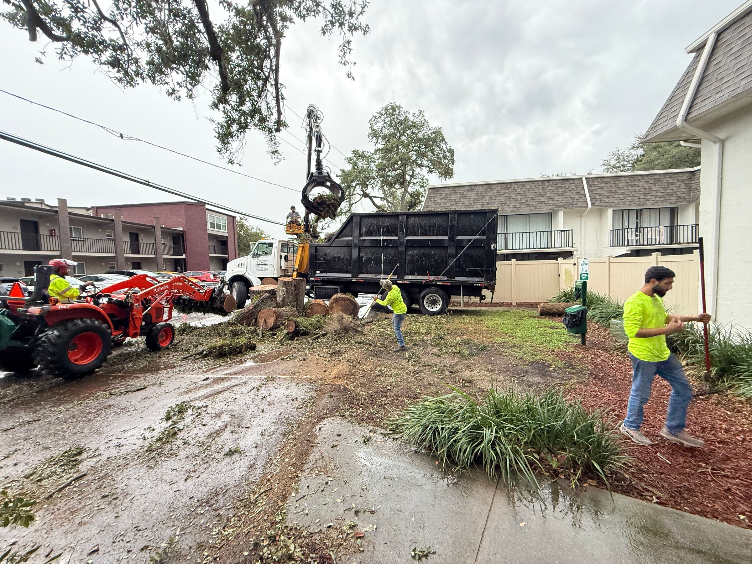 Storm cleanup: our crew loading a felled oak with the grapple at a Tampa apartment complex
